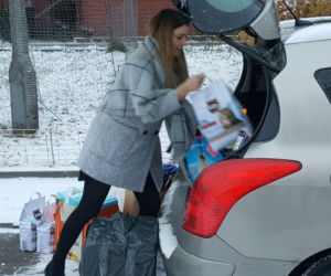 Mnóstwo darów dla bydgoskiego schroniska! Za nami finał akcji Paka dla zwierzaka!