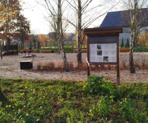 Park kieszonkowy Siedlce, ul. Traugutta