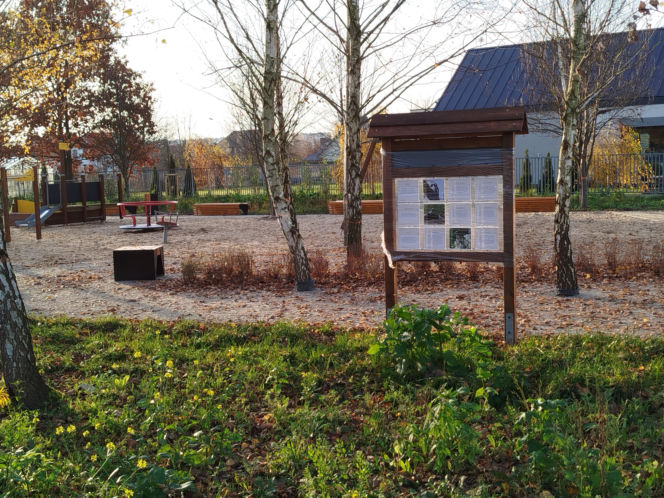 Park kieszonkowy Siedlce, ul. Traugutta