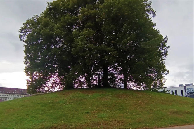 Wzgórze Napoleona w Szczecinie