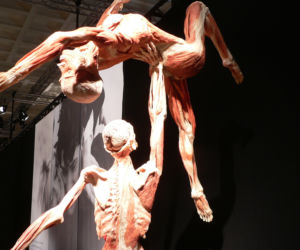 Rzeźby Gunthera von Hagens