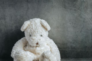 Biały miś znów przed sądem. Wraca spór o autorstwo kultowej piosenki 