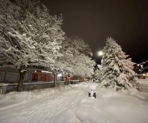 Zima w Olsztynie - 31 grudnia 2025