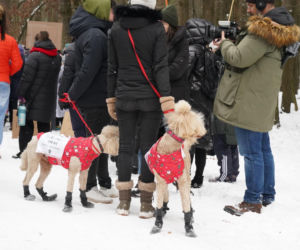Schronisko dla psów w Sobolewie zamknięte. Jeszcze w sobotę, 24 stycznia, protestowali pod nim mieszkańcy [ZDJĘCIA].