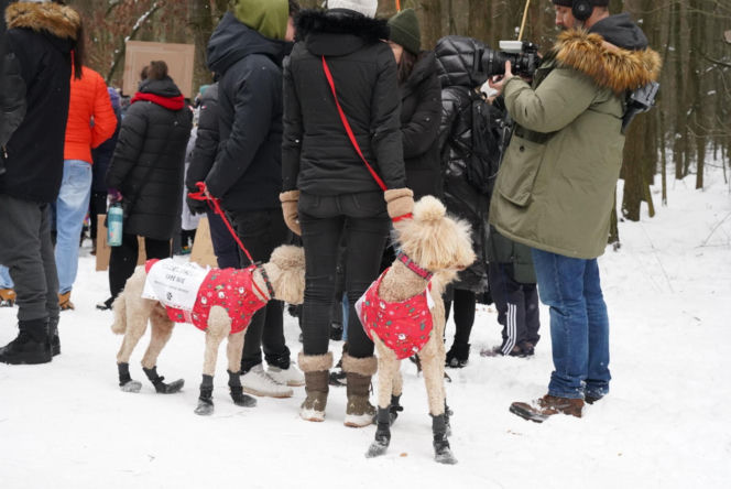 Schronisko dla psów w Sobolewie zamknięte. Jeszcze w sobotę, 24 stycznia, protestowali pod nim mieszkańcy [ZDJĘCIA].
