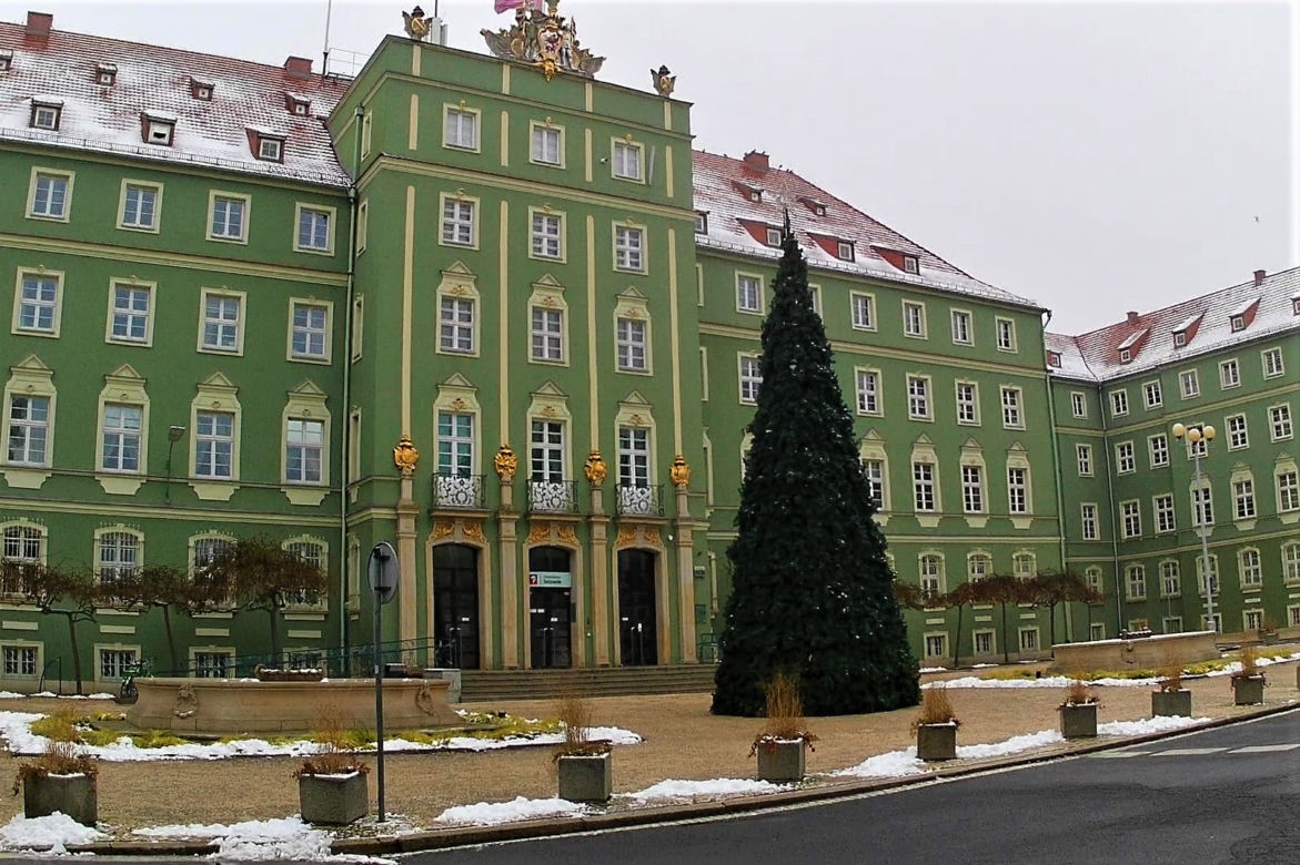 "Kryzysowa" choinka miejska w Szczecinie