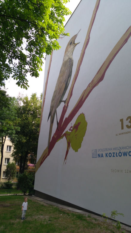Ptasie murale na Kozłówku