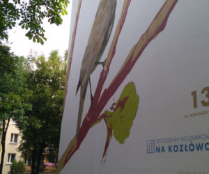 Ptasie murale na Kozłówku