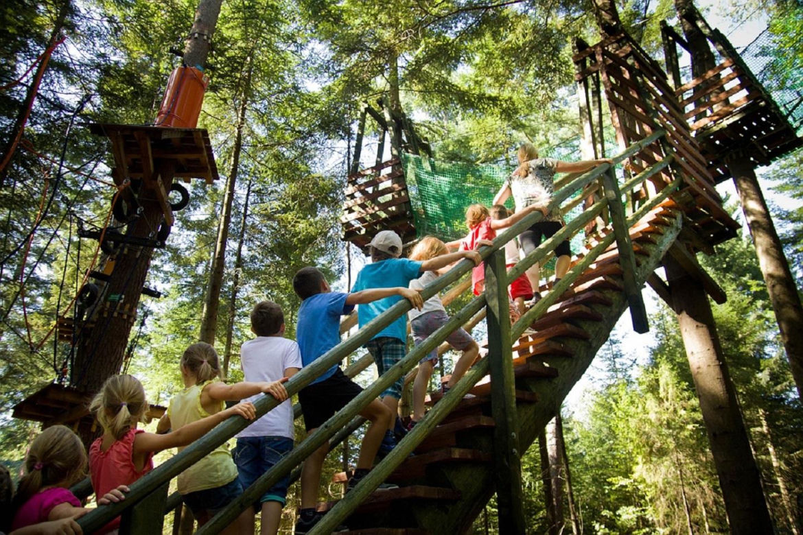 Park Linowy „Las Przygód” (Zawoja)