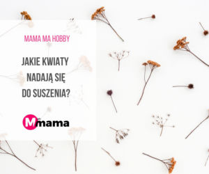 jakie kwiaty do suszenia