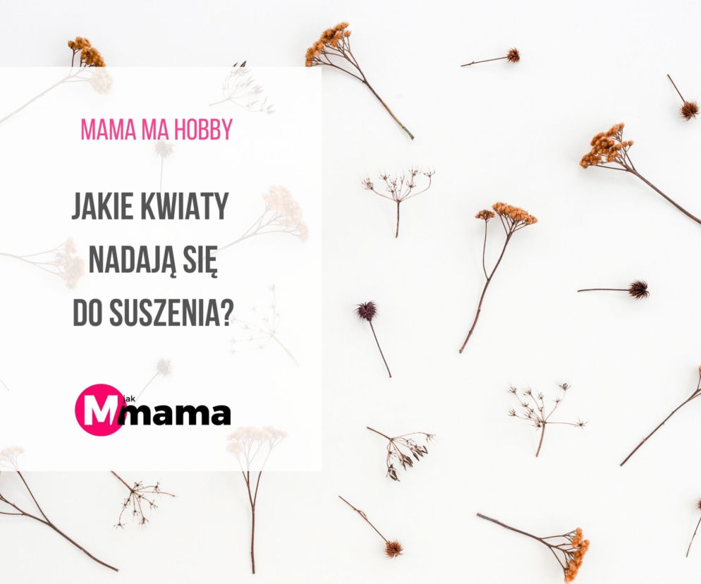 jakie kwiaty do suszenia
