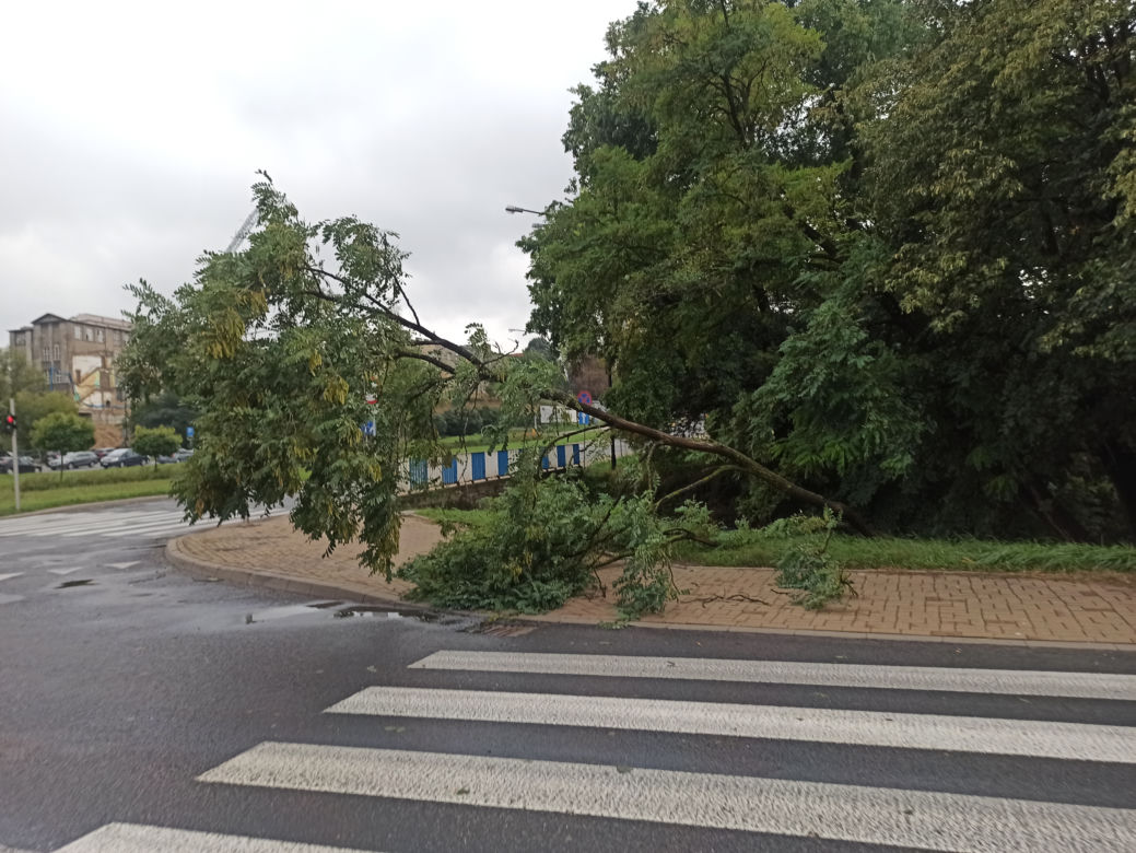 Przez Lublin przeszła potężna nawałnica. Trwa usuwanie jej skutków. 