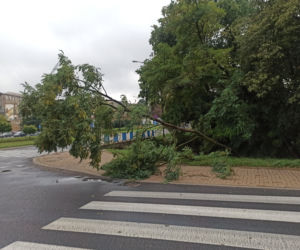 Przez Lublin przeszła potężna nawałnica. Trwa usuwanie jej skutków. 