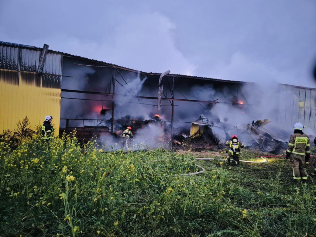 Pożar w Andrzejkach. Strażacy walczyli o uratowanie zwierząt i domu