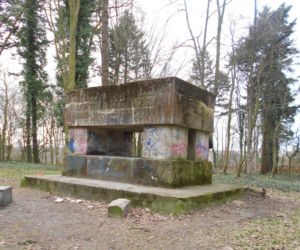 Zaniedbany stary cmentarz przy ul. Ostrowskiej zmienia się w piękny park