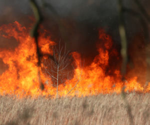 Wielka chmura dymu nad Warszawą! Co się dzieje?!