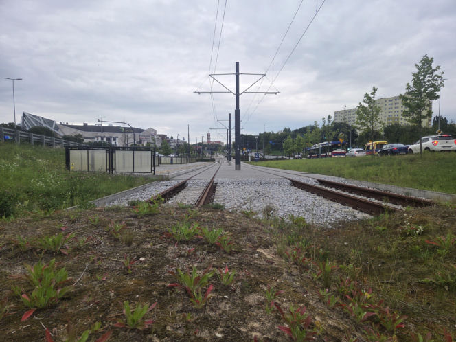 Tędy za dwa lata pojadą tramwaje. Na Szwederowie rozpoczęła się budowa nowej trasy tramwajowej