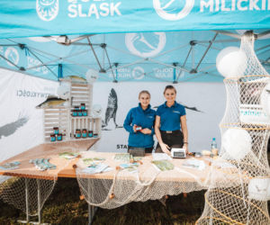 Milicz zaprasza na karpiowe święto! karpFEST - Festiwal Karpia Milickiego 2026 już we wrześniu