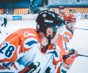 KH Energa Toruń - Zagłębie Sosnowiec 5:4 - zdjęcia z meczu