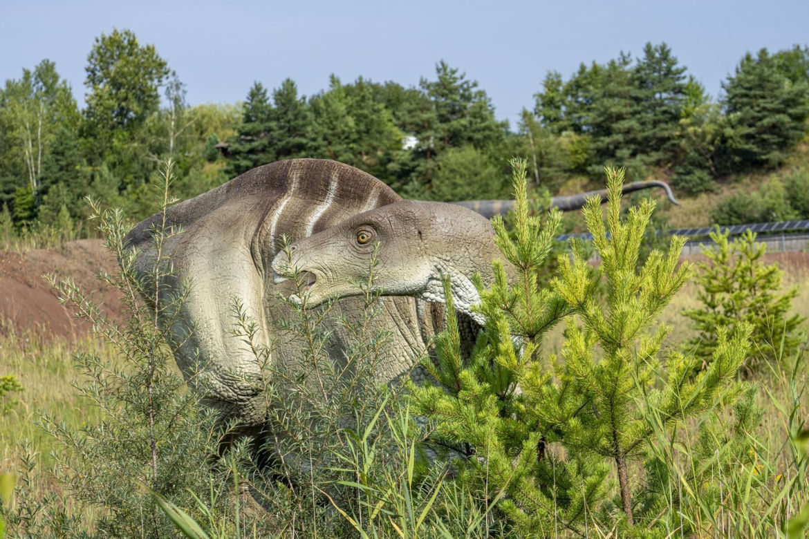 JuraPark Krasiejów