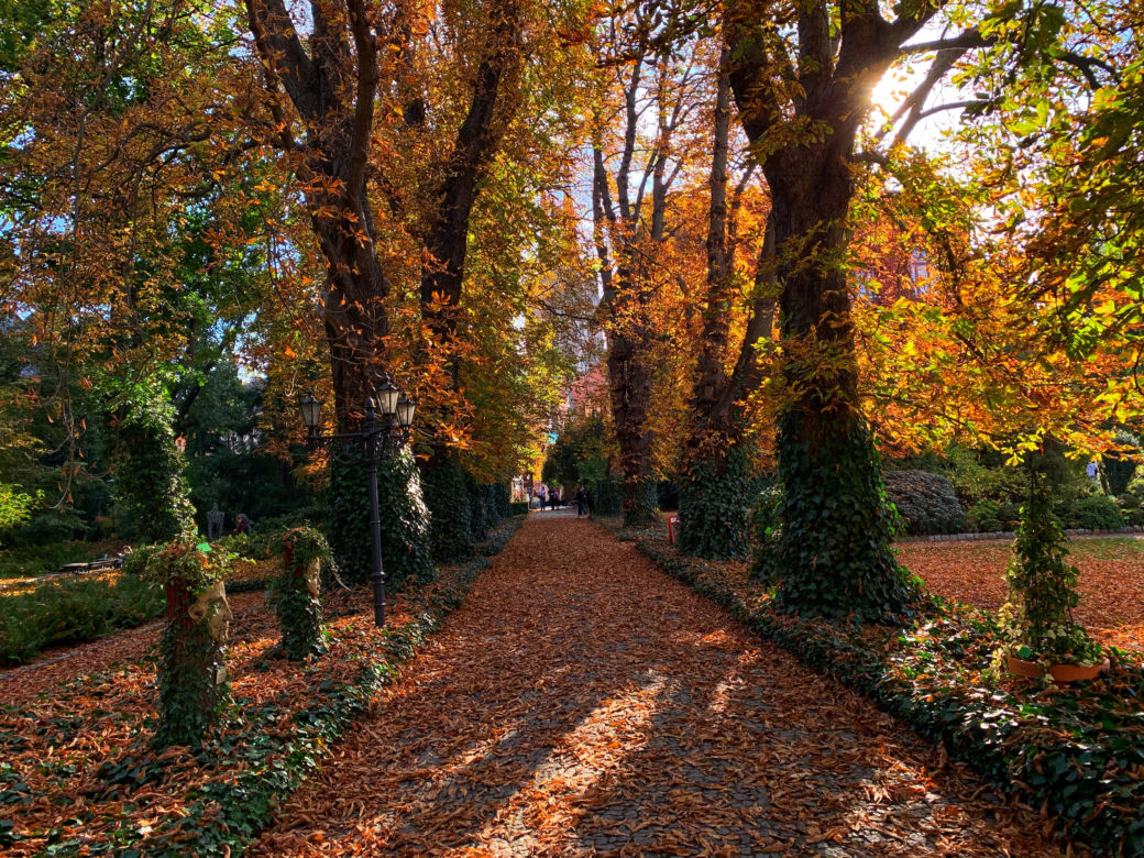Jesień w ogrodzie botanicznym we Wrocławiu