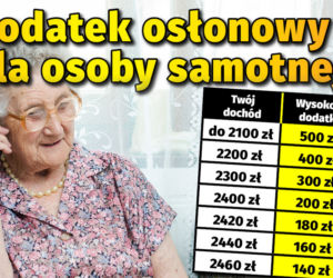 Dodatek osłonowy