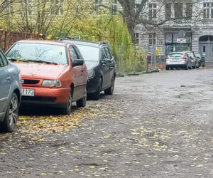 Mieszkańcy chcieli poradzić sobie z problemem. Efekt? Internet pęka ze śmiechu!