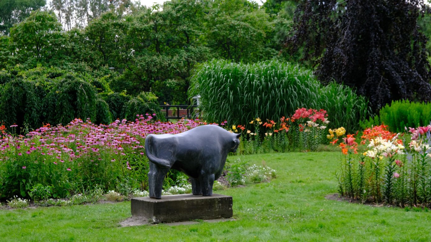 Ogród Botaniczny PAN w Powsinie
