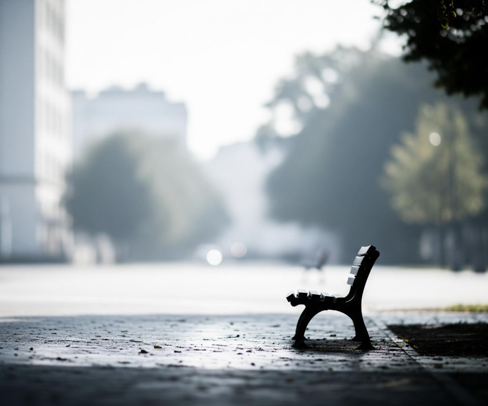 Ciemna, pusta ławka o prostej, drewnianej konstrukcji z żeliwnymi nóżkami, umieszczona jest po prawej stronie utwardzonej ścieżki lub placu. Powierzchnia, na której stoi ławka, jest mokra i błyszcząca, z widocznymi drobnymi grudkami lub kamykami. Dalej, za ławką, rozciąga się przestrzeń miejska z niewyraźnymi budynkami po lewej i drzewami po prawej stronie, wszystko spowite w jasną, zamgloną atmosferę. Całość kadru charakteryzuje się dużą głębią ostrości, z ostrością ustawioną na pierwszym planie i ławce, podczas gdy tło jest rozmyte.