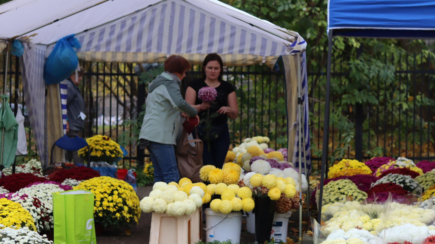 Trwają ostatnie przygotowania. Lublinianie sprzątają groby na 1 listopada