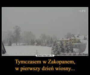 Memy na pierwszy dzień wiosny