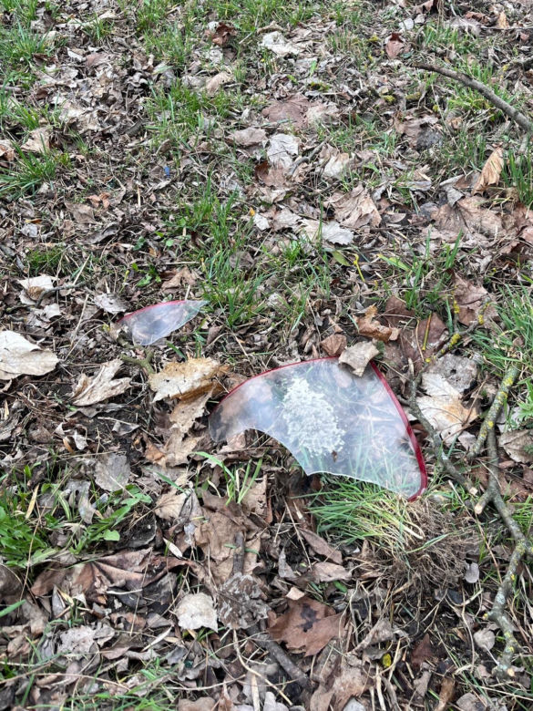 Maciejów Stary. 18-letnia Magda zginęła w tragicznym wypadku