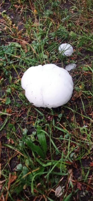 Potężna nawałnica przeszła tej nocy nad województwem śląskim. Bilans strat to uszkodzone dachy, samochody i zalana izba przyjęć szpitala [ZDJĘCIA]