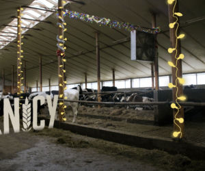 Świąteczny odcinek Rolnicy. Podlasie. Premiera 26 grudnia na Fokus TV