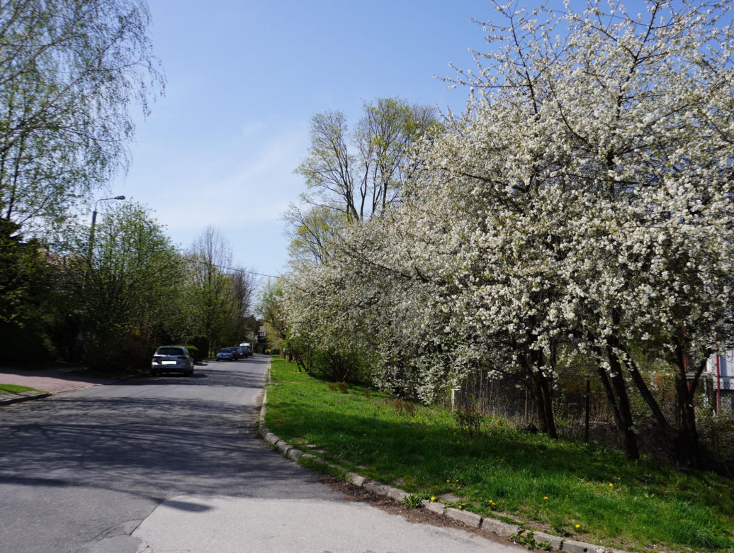 Wiosenny spacer po dzielnicy Sławinek w Lublinie