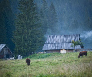 Góry Tatry