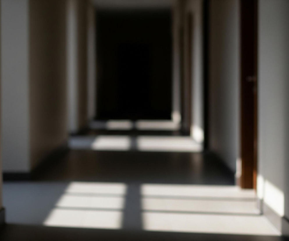 Długi, rozmyty korytarz rozciąga się w głąb obrazu, stopniowo ciemniejąc i zbiegając się w odległym, niewyraźnym punkcie. Ściany korytarza po lewej stronie są jasnoszare, natomiast po prawej stronie widać ciemnobrązowe drzwi lub fragment ściany. Podłoga, wydająca się być ciemna, odbija jasne, prostokątne pasma światła, tworzące wzory kratek, co sugeruje padające promienie słoneczne przez okna niewidoczne na zdjęciu.