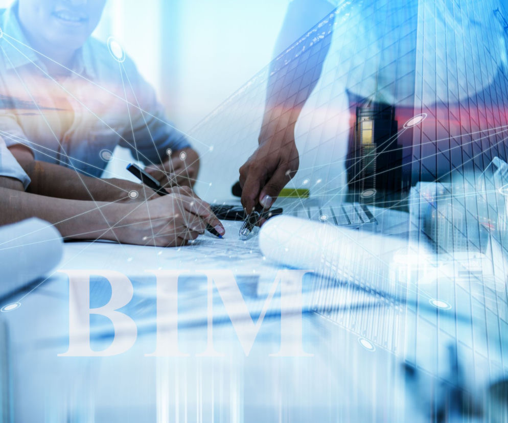 BIM