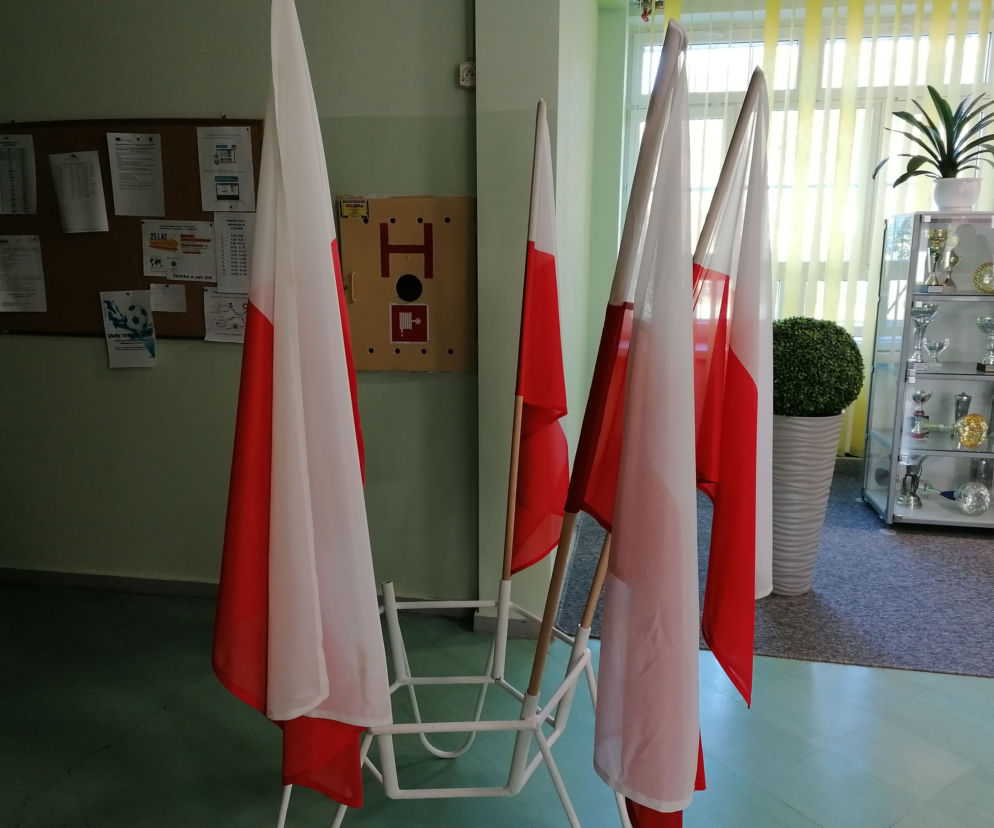Wybory 2019.