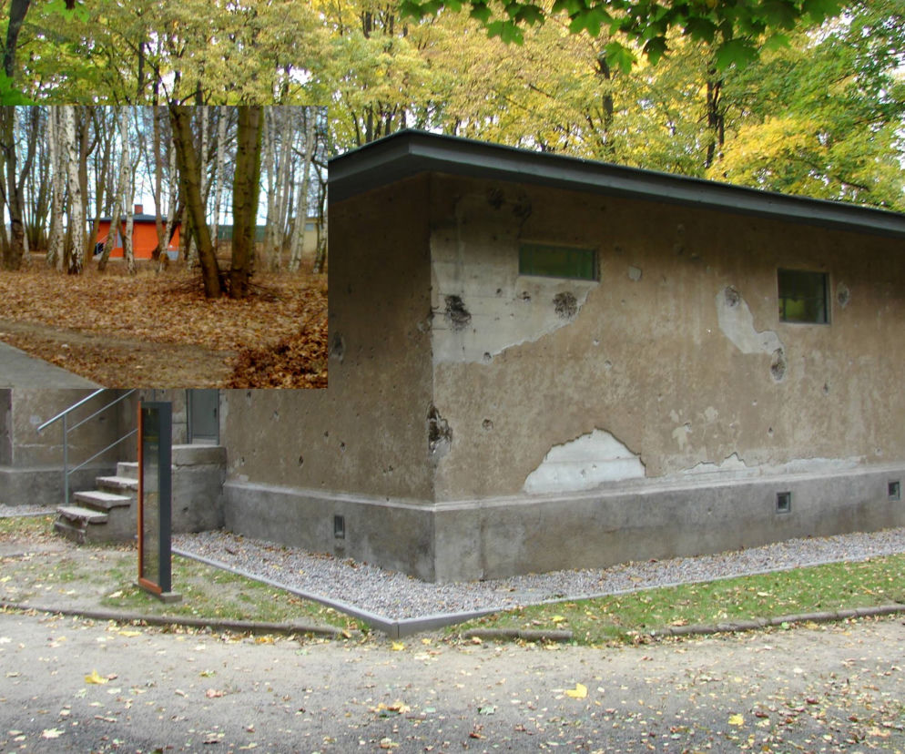 Pomarańczowe Westerplatte?