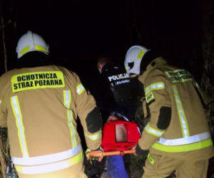 Szczeniak uratował życie swojemu właścicielowi pod Skierniewicami