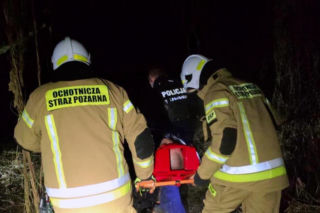 Szczeniak uratował życie swojemu właścicielowi pod Skierniewicami