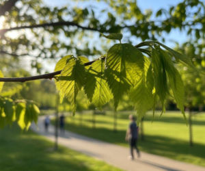 Weekend w Opolu z coraz wyższą temperaturą. Niedziela zapowiada się najcieplej