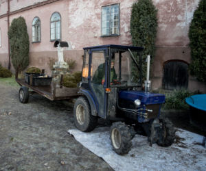 Świąteczny karp od benedyktynek ze Staniatek