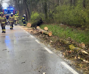 Powiat siedlecki: liczne interwencje strażaków w związku z wichurą