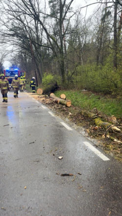 Powiat siedlecki: liczne interwencje strażaków w związku z wichurą