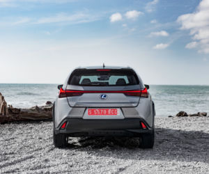 Lexus UX 250h E-Four Omotenashi