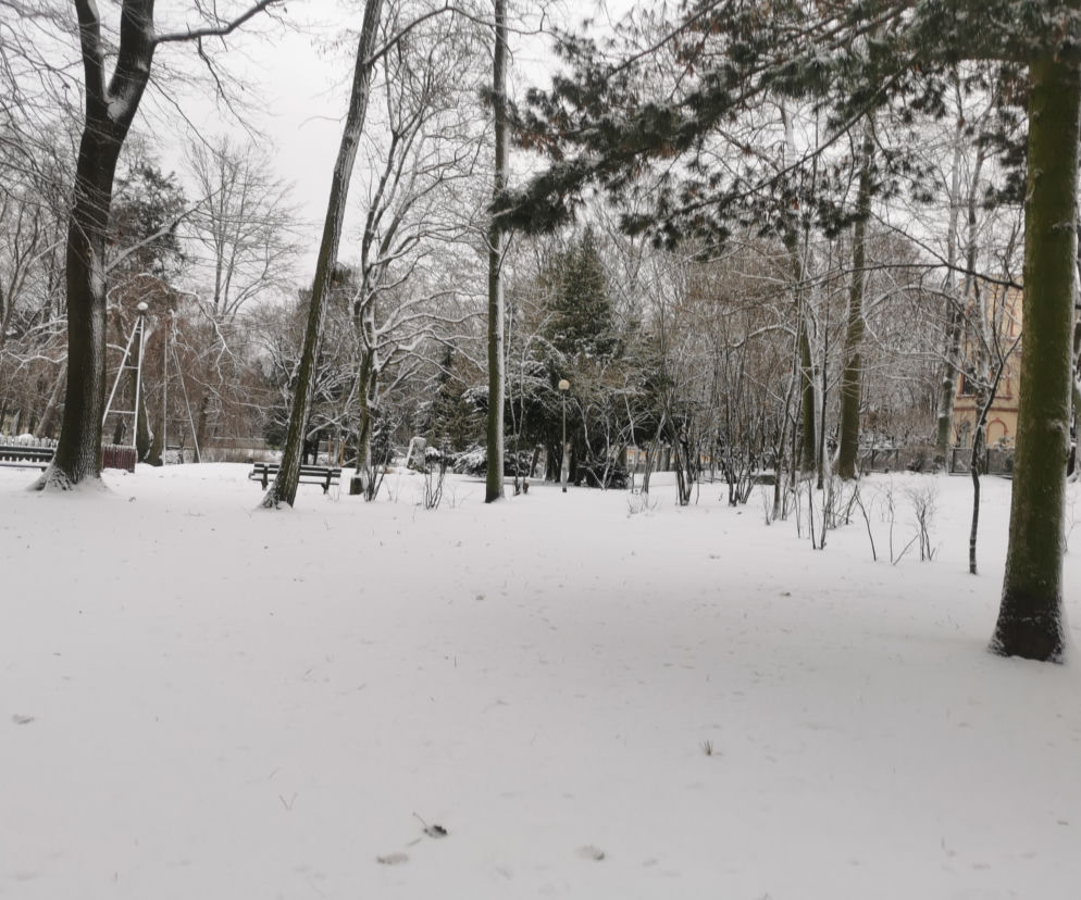 park piastowski