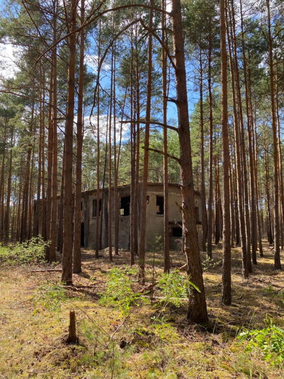 Ruiny byłej fabryki amunicji DAG podczas II wojny światowej w Lubuskiem