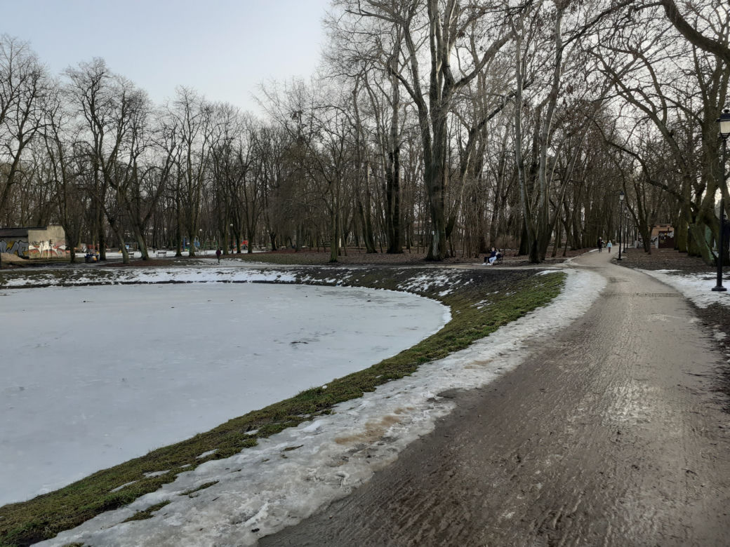 Siedleckie szkoły przy ul. Konarskiego i Prusa i ich okolica w lutym 2021 roku